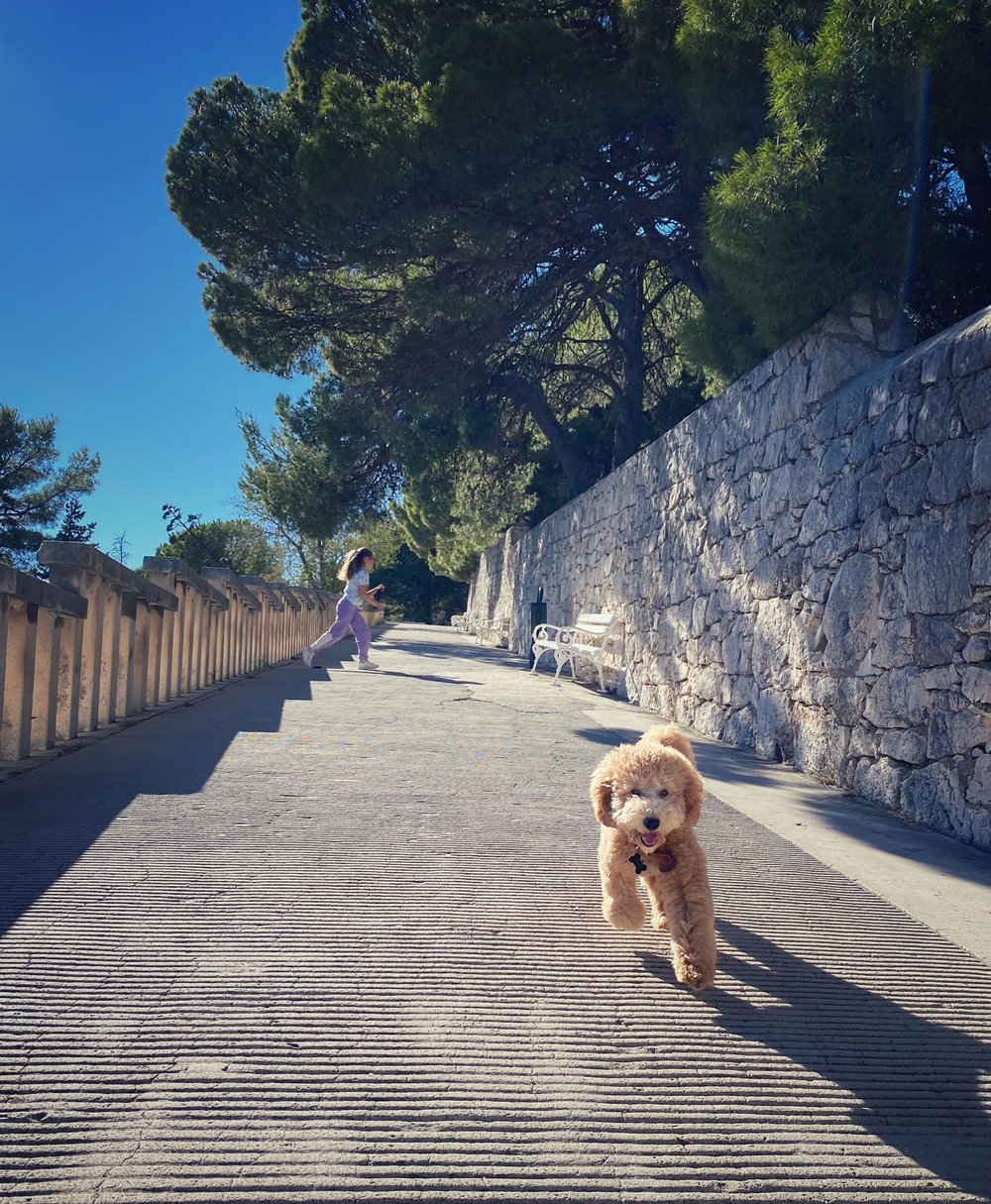  Kid and pup enjoying the path to Marjan Forest Park. 