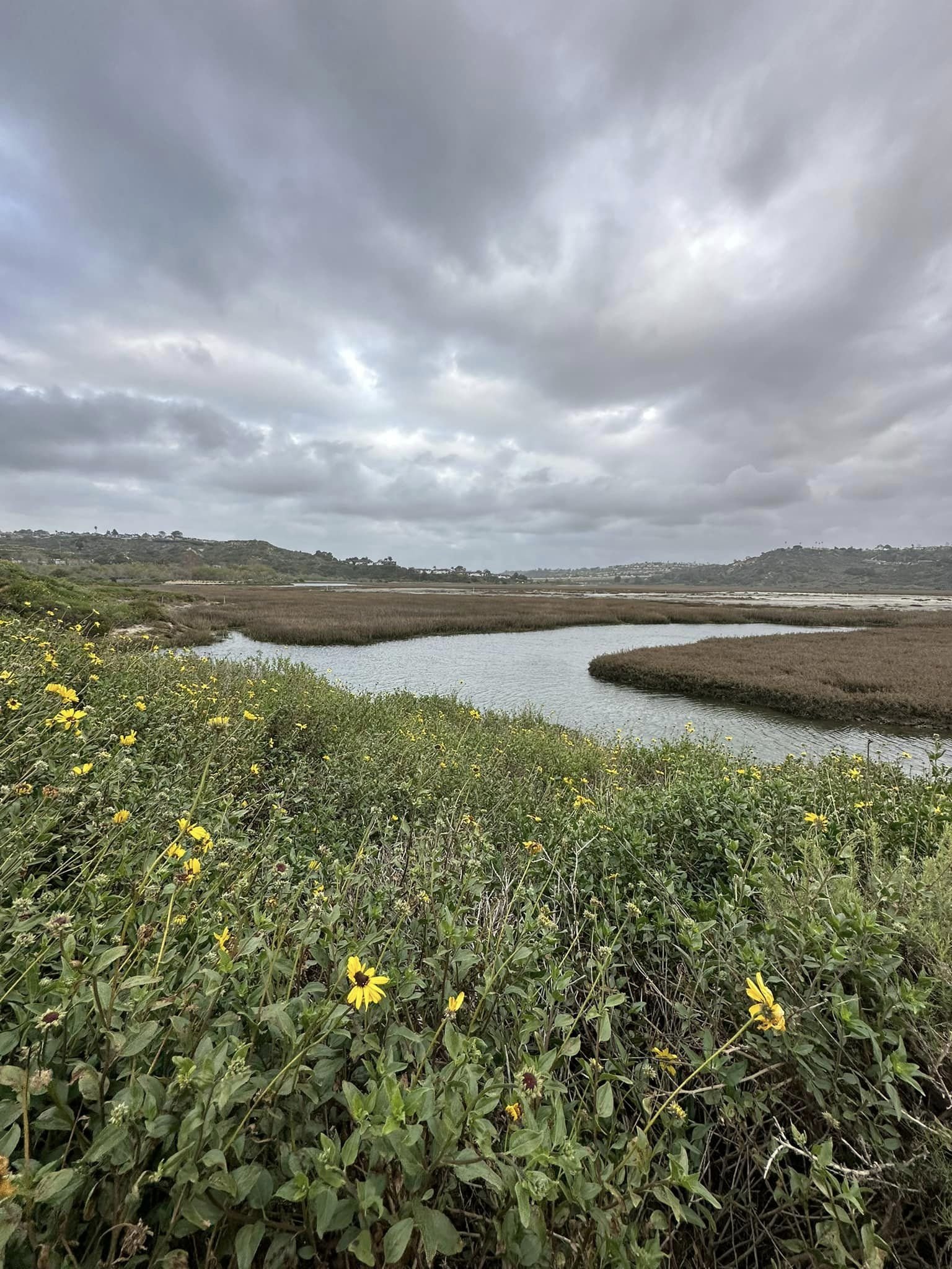  San Elijo Lagoon Ecological Reserve. Students get a field trip here, supported by the Escondido Creek Conservancy, which Steve helped to establish. 