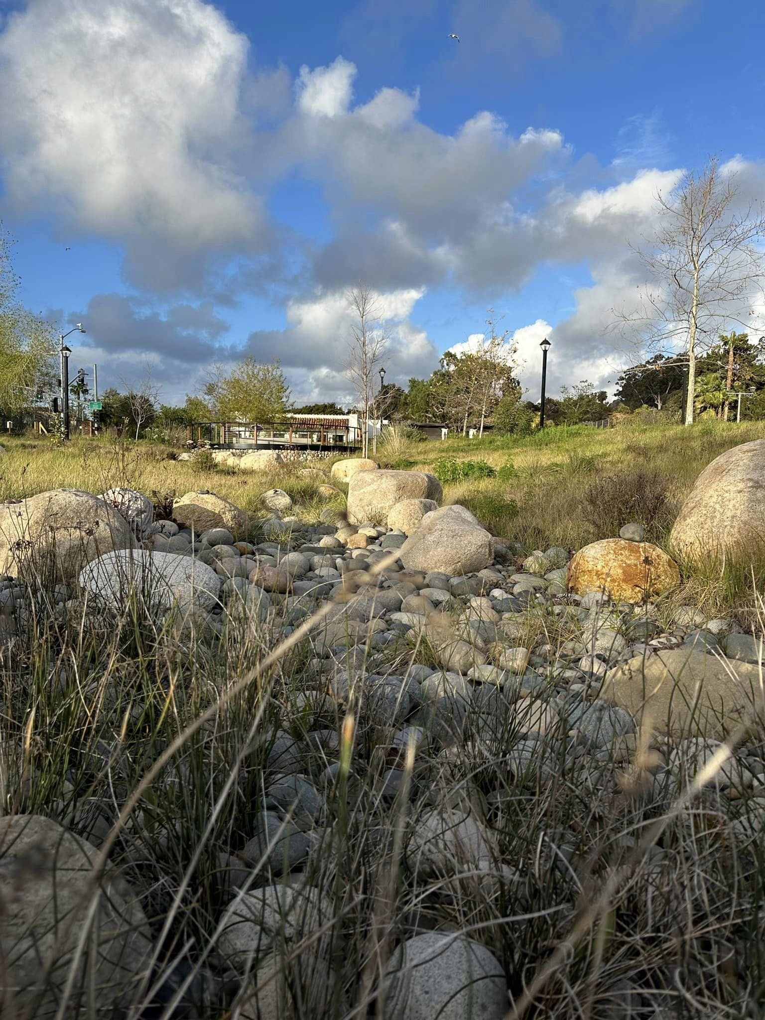  The San Diego River used to run through right here. 