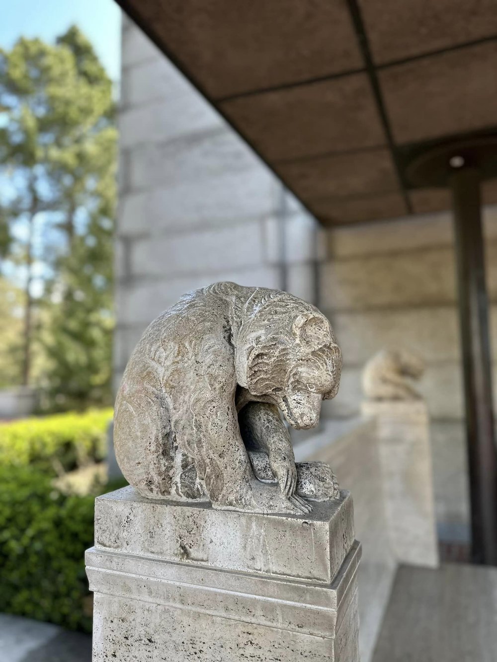  The bear, symbol of California. Berkeley campus. 