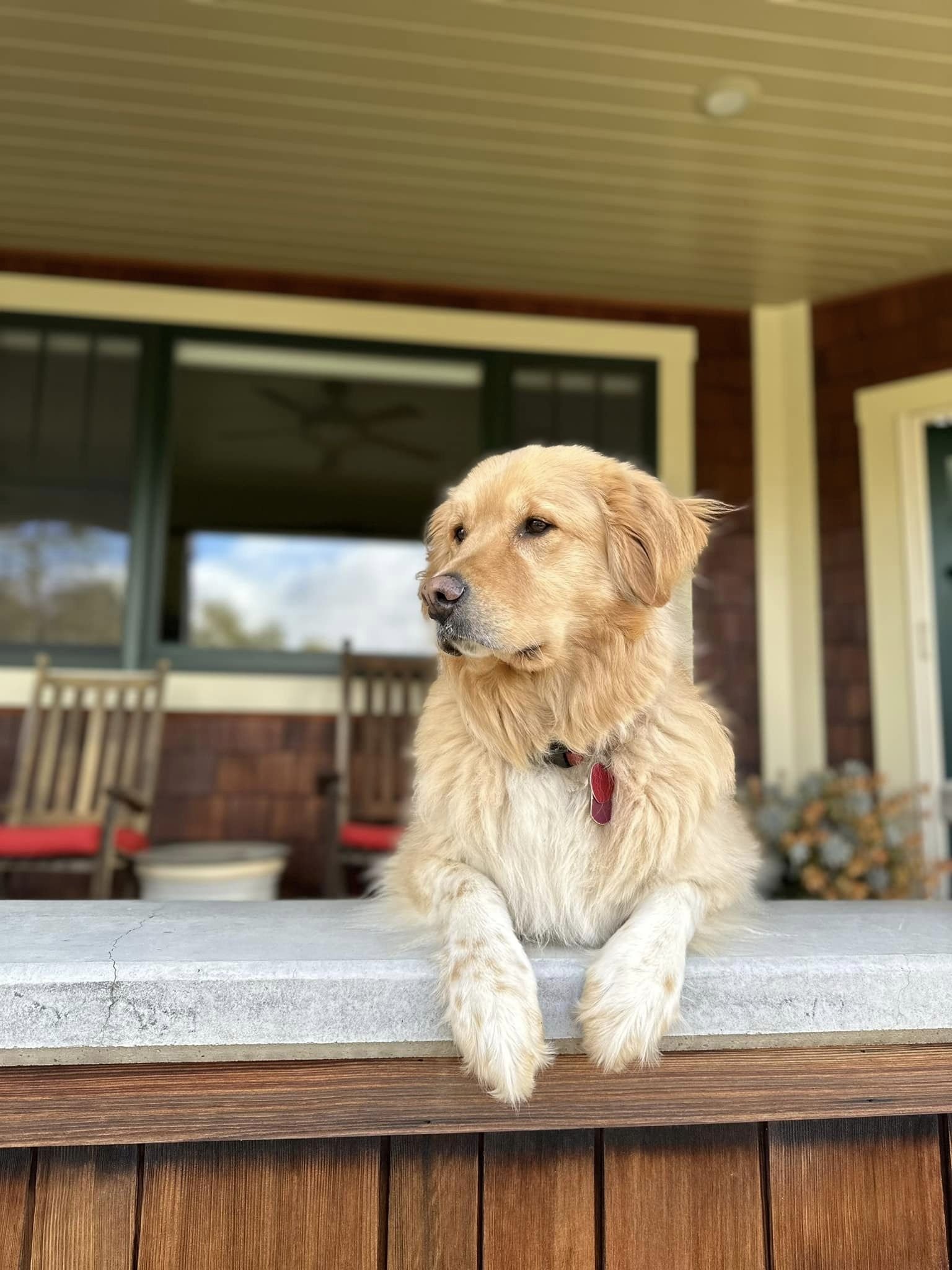  Martha Janet (“Mattie”), surveying the gleaning. 