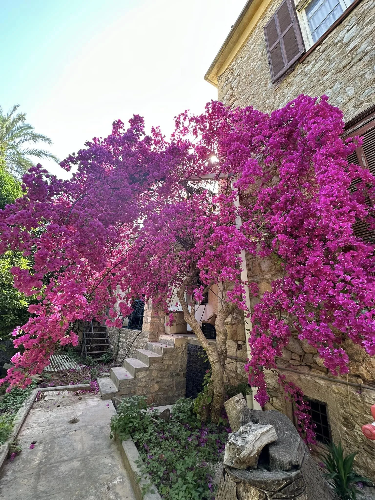 Lovely Nafplion. 