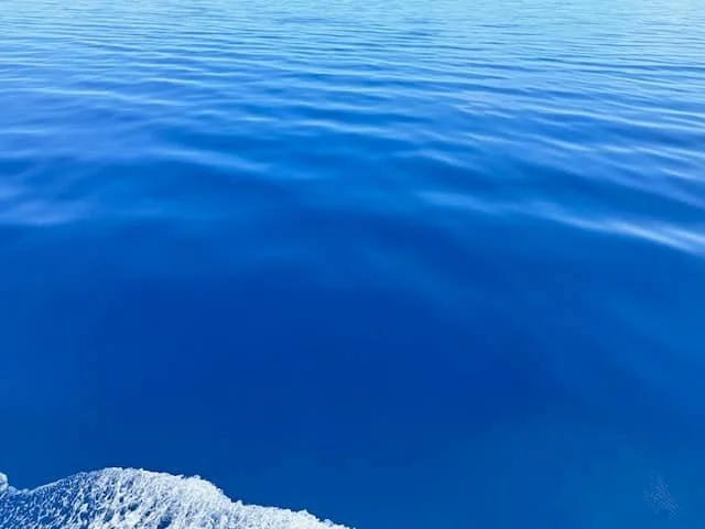 447429606_10161723803418699_6380454522625627962_n.jpg
