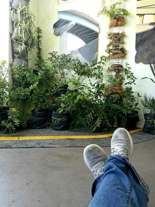 Antidotes Installation