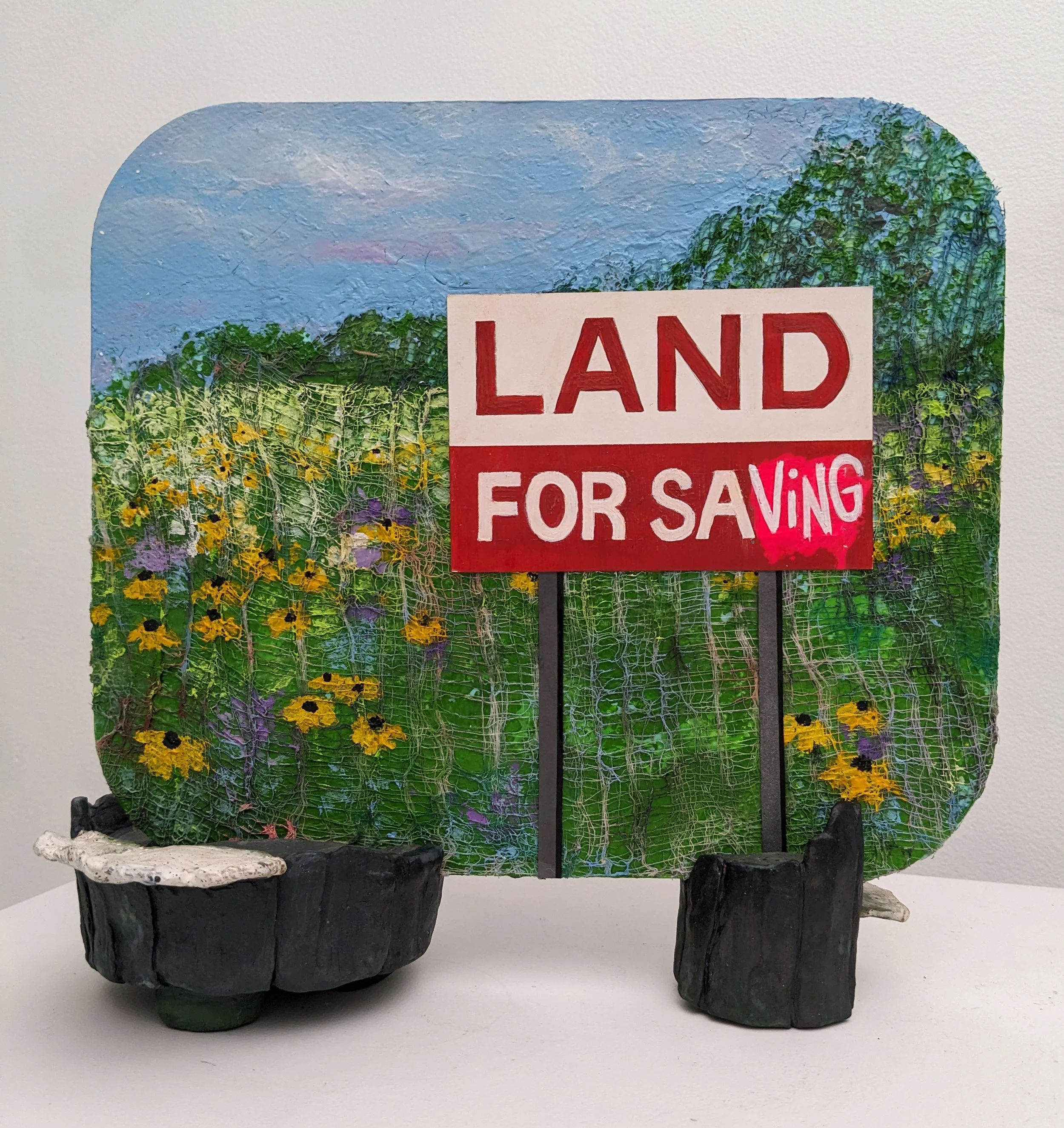 Land for Saving