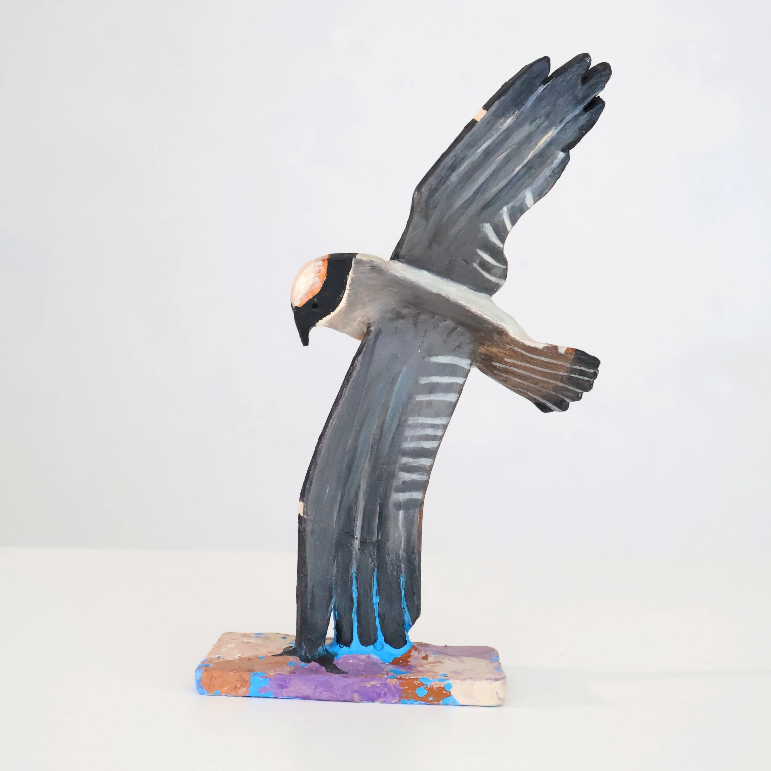 Osprey