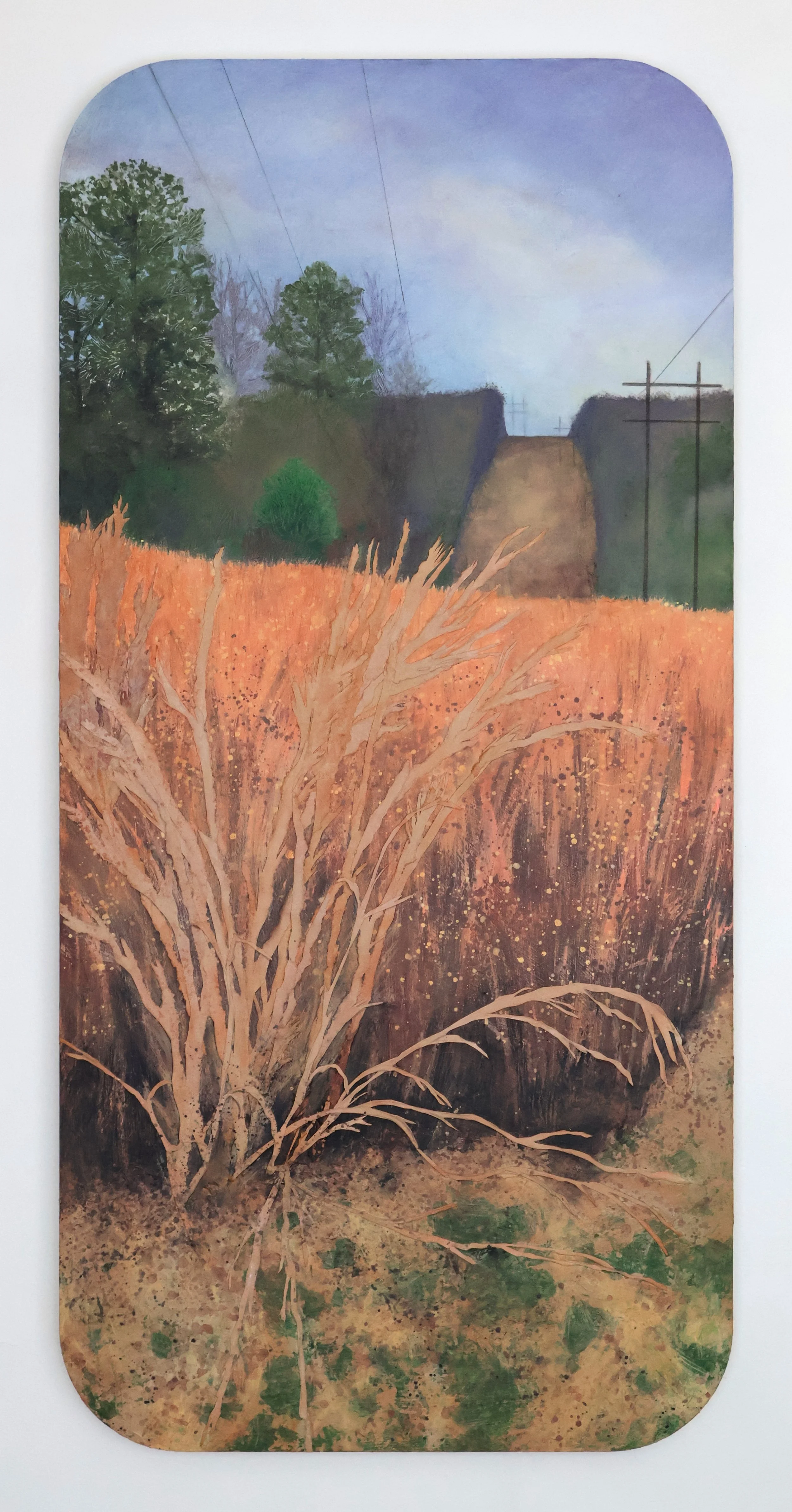 Power Line Prairie, GA