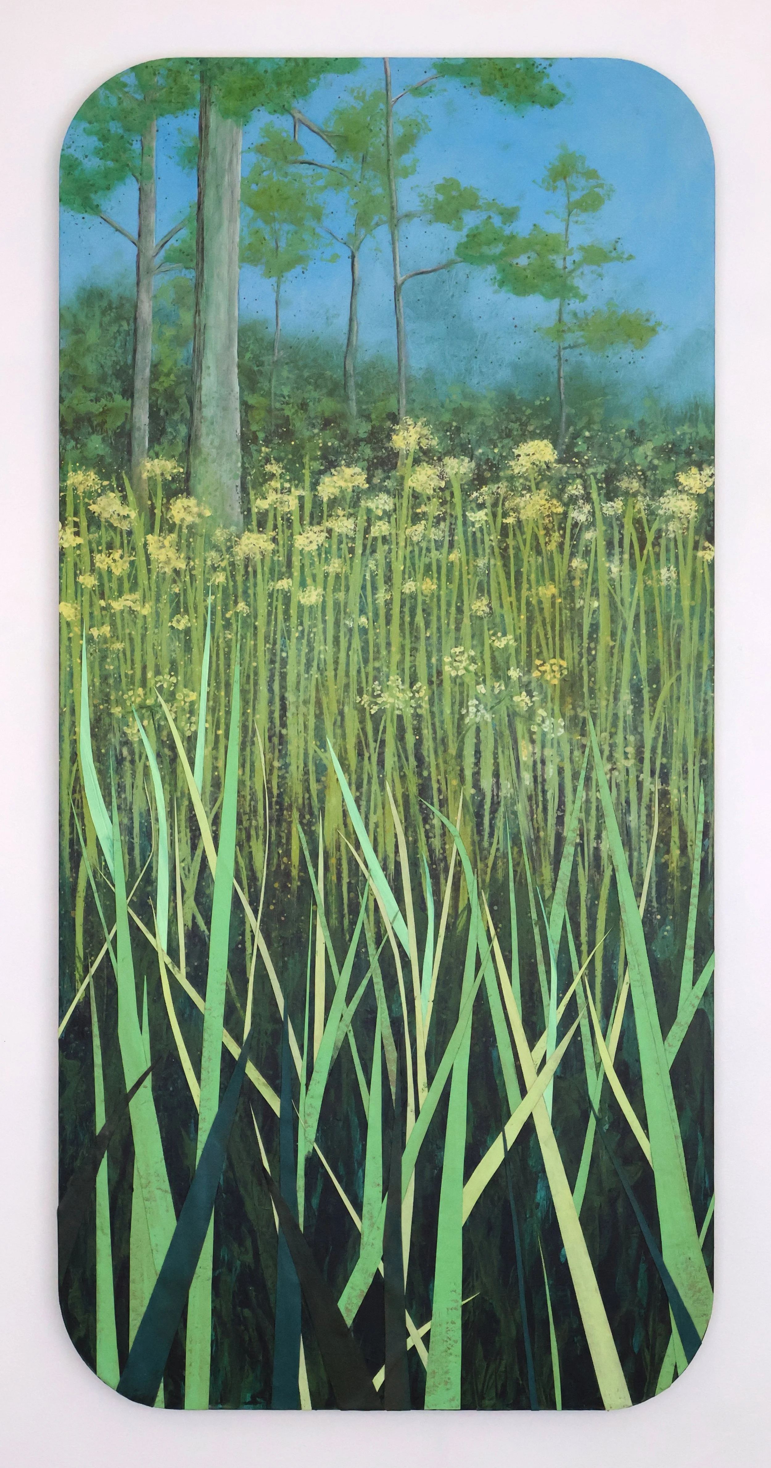 Canby’s Dropwort Preserve, SC