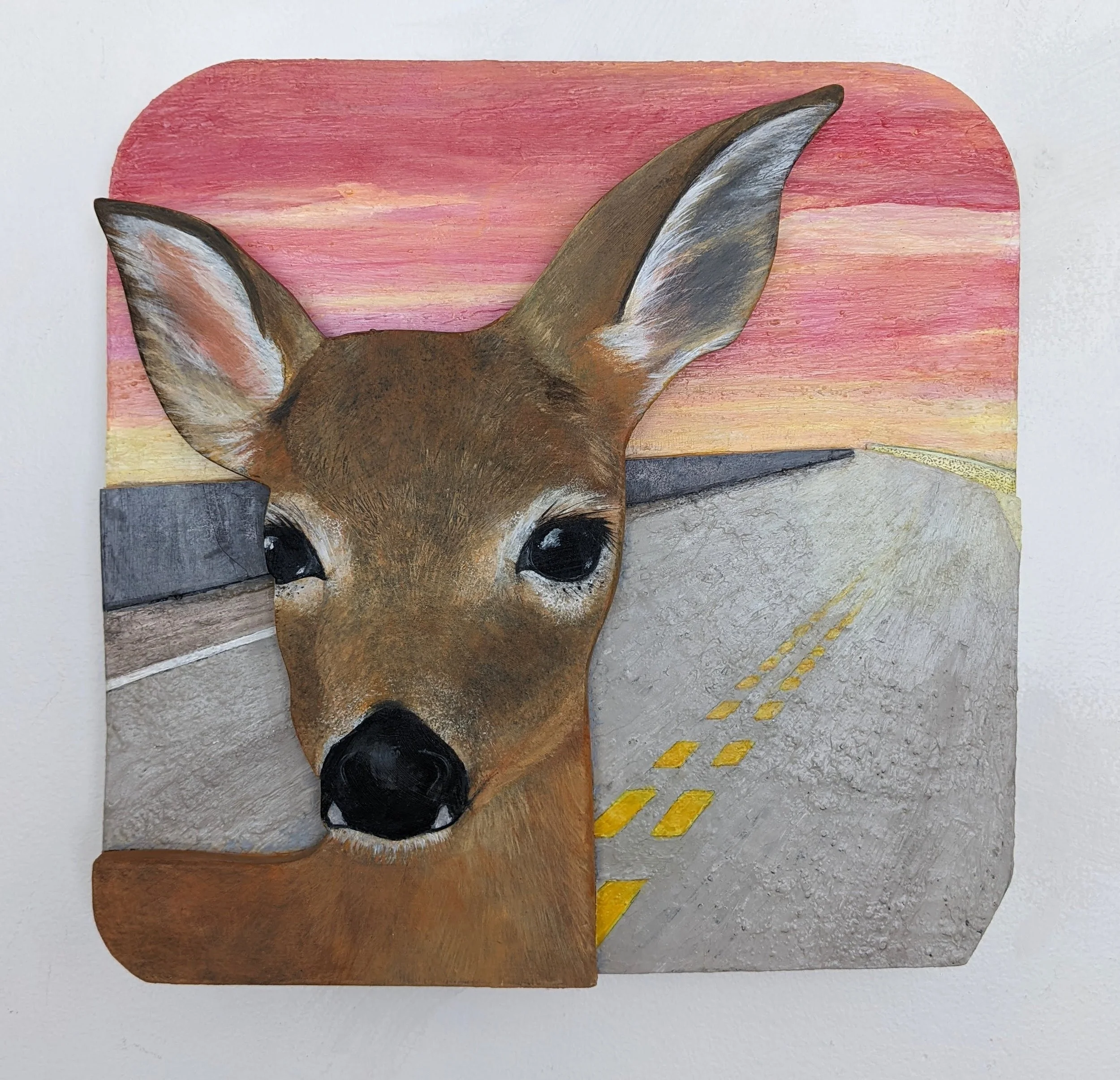 Key Deer Study #6