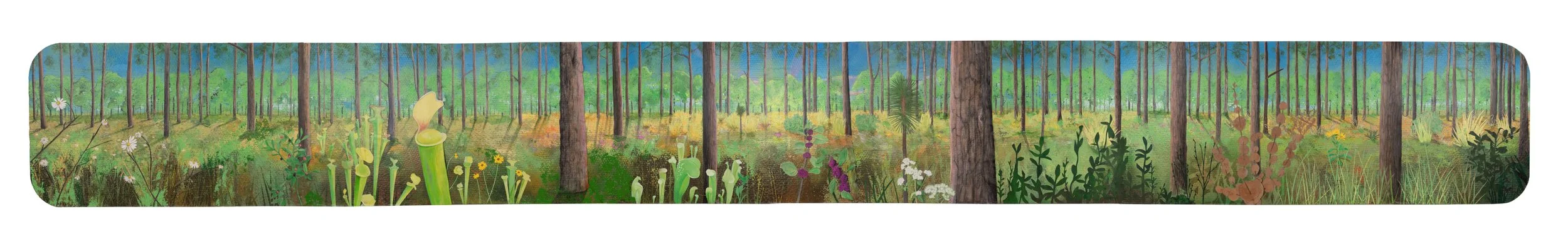 Field of Vision