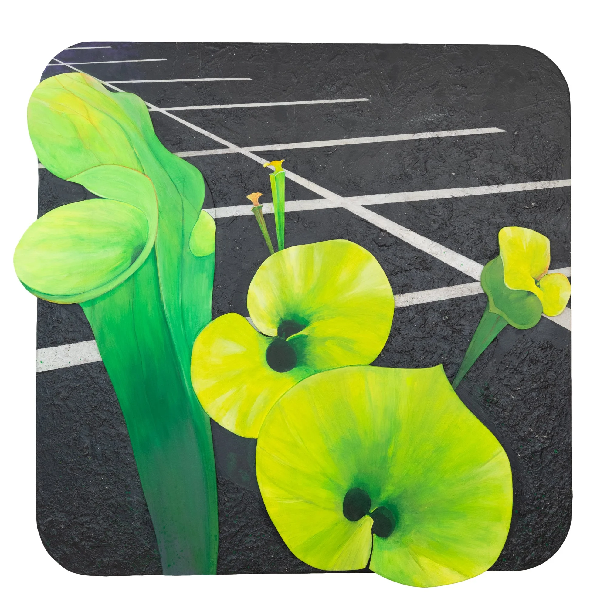 Pitfalls In Potholes - Permanent Collection: Coastal Discovery Museum, Hilton Head Island, SC