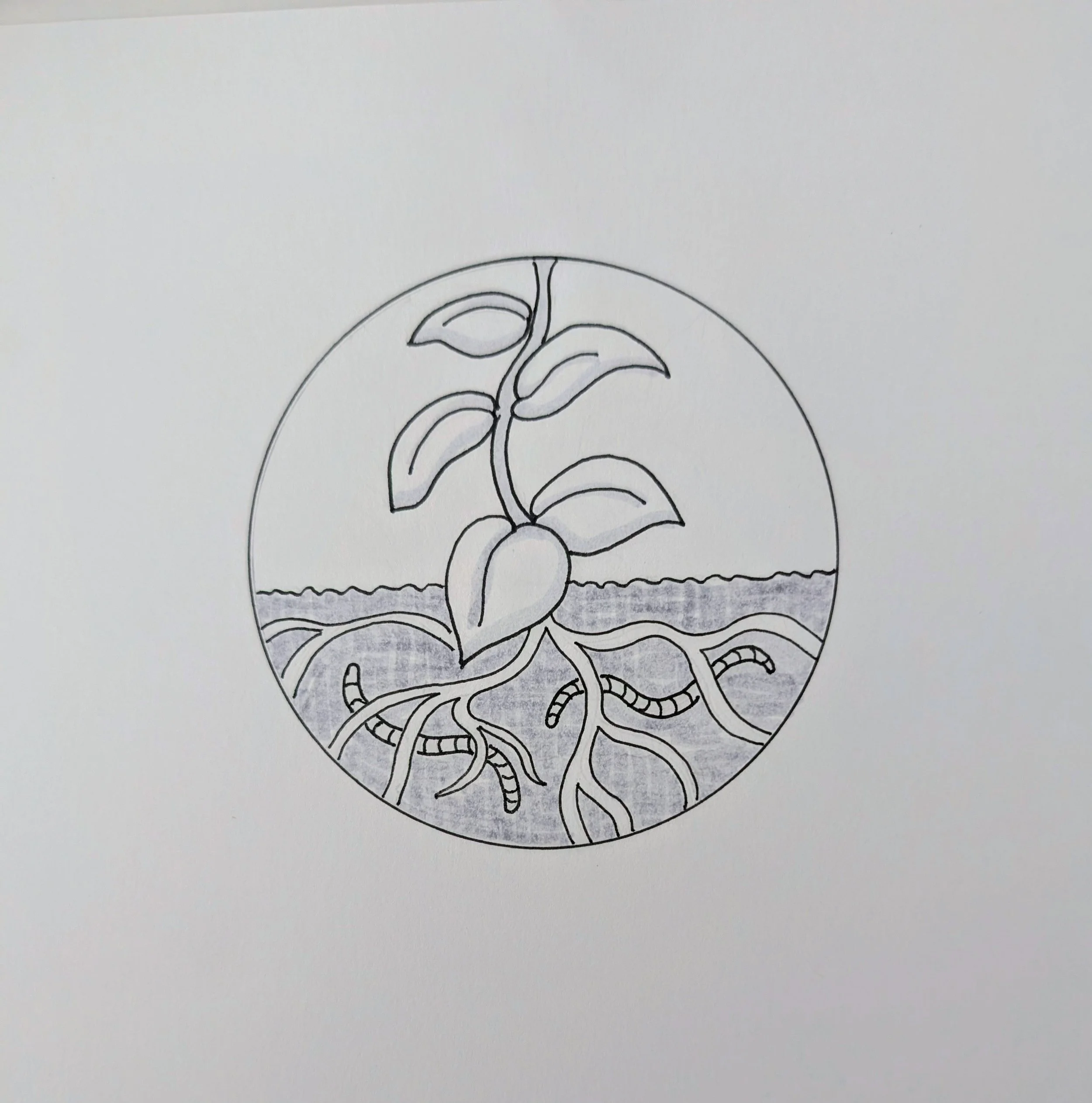 Soil Fertility symbol