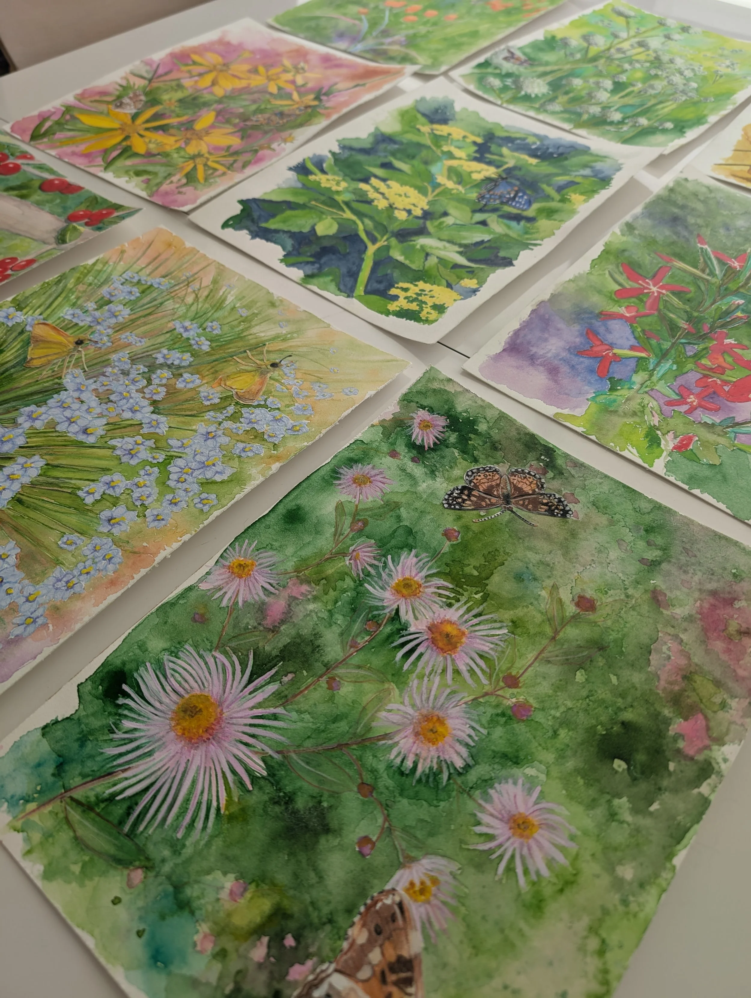 A collection of artworks for Wild for Wildscapes