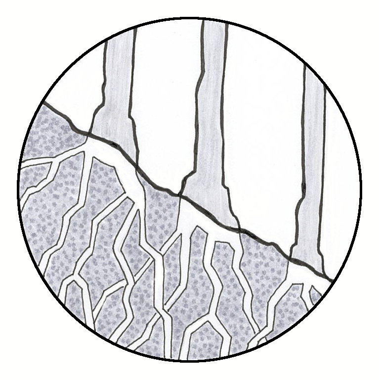 One of 14 symbols representing a native plant positive contribution to a garden