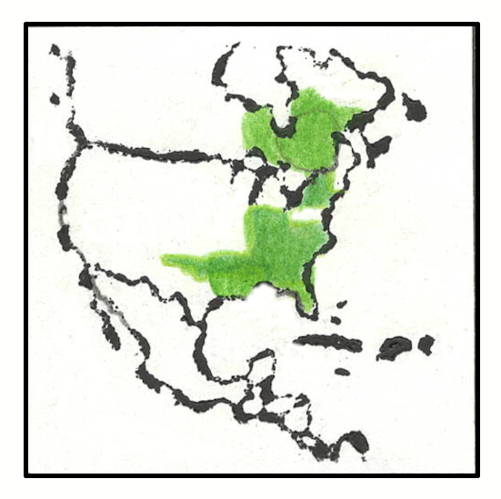 Hardiness zone for each selected native plant. Hand printed by wood block and colored in with green pencil