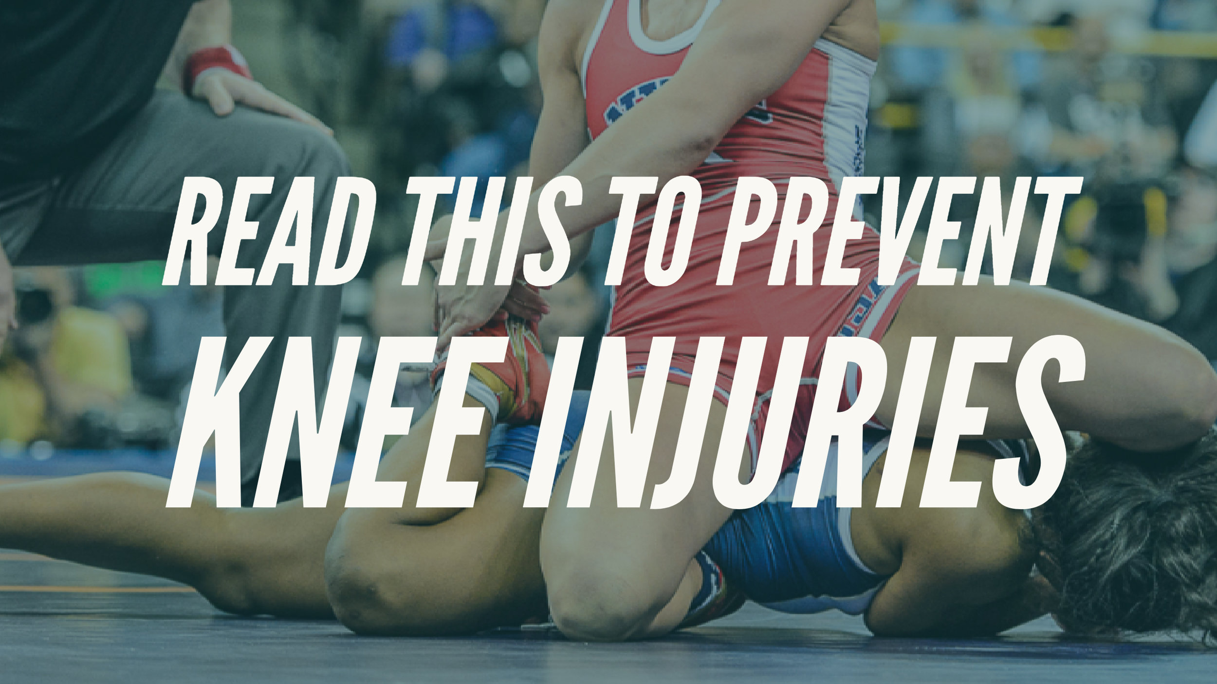 Photo: tony rotundo