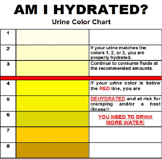 Proper Hydration Chart