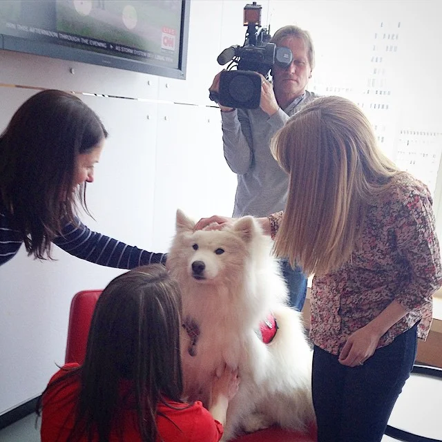 Chronicle Viewing Party Announcement!