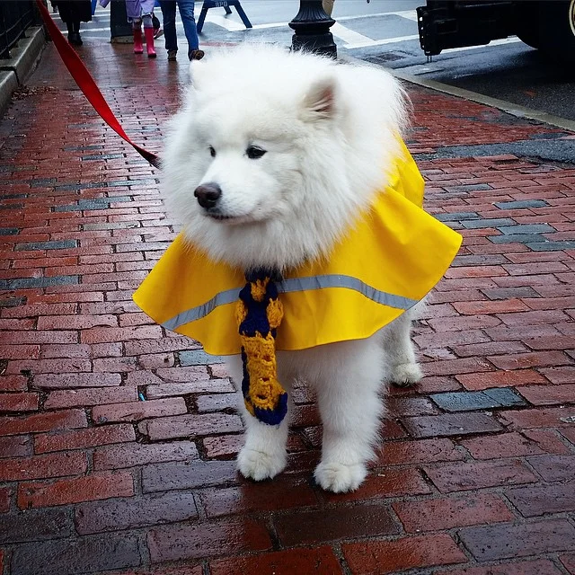 Throwback to Marathon Monday