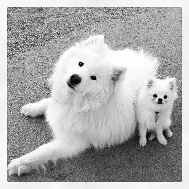 Harvard's History: The day I met my mini-me!