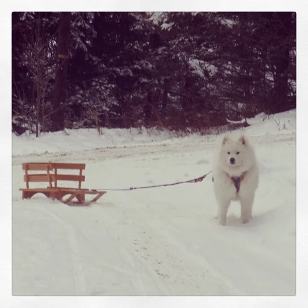 Harvard's History: Practice, practice, practice!