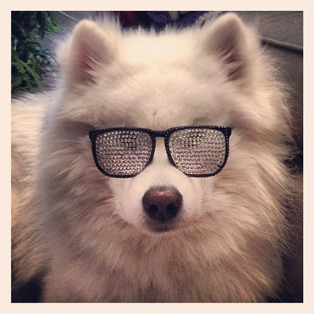 Harvard's History: Stunner