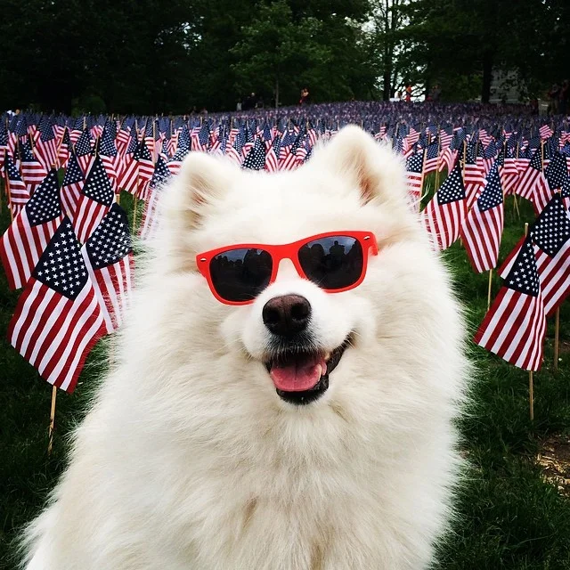 Harvard's History: Thank you for your sacrifice ๐บ๐ธ โค๏ธ๐พ