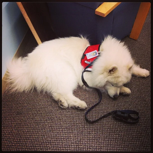 Harvard's History: Sleeping on the job💤 