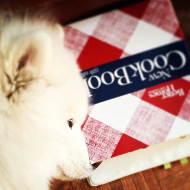 Harvard's History: Sniffing Out Some Recipes ππ·π΄