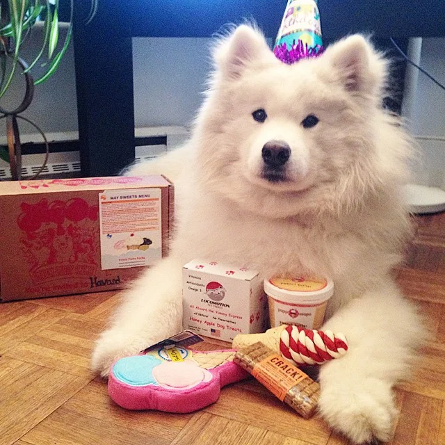 ๐You're invited to Harvard's party!๐