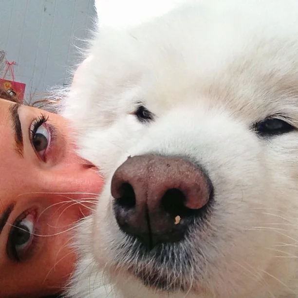 Harvard's History: Crumbs & A Snow Nose