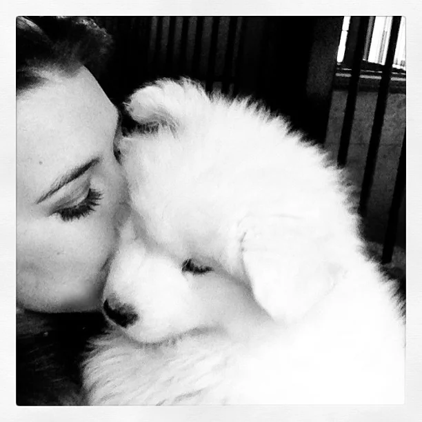 Harvard's History: Puppy Kisses