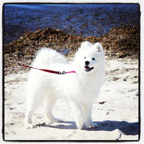 Harvard's History: Brigitte went to The Cape! πΎ