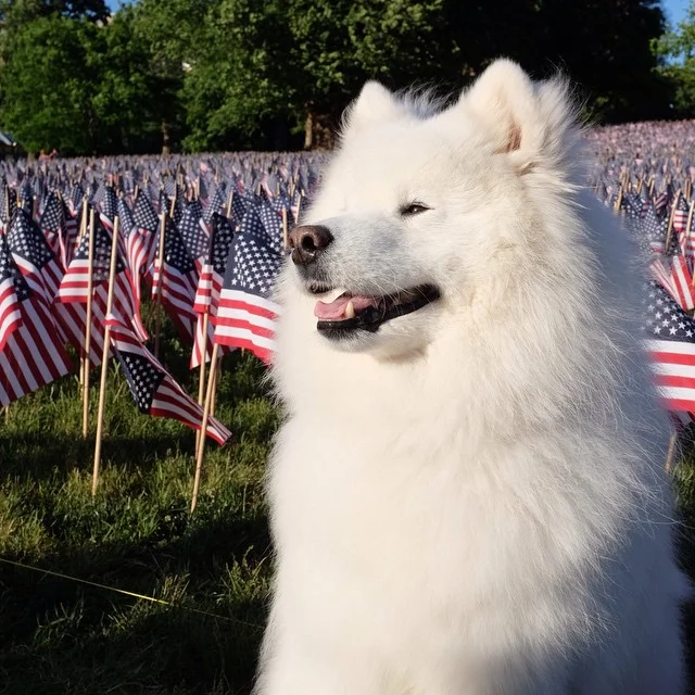 Memorial Day 2015