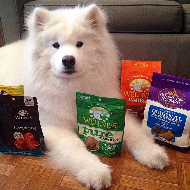 Early birthday🎈 treats!