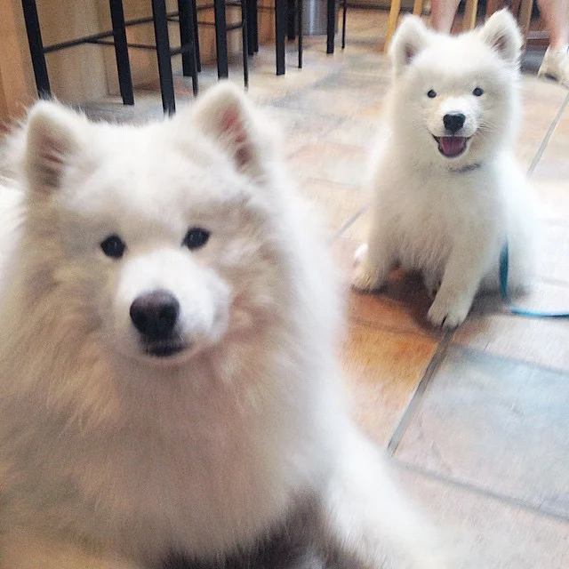 Ready for my party?π