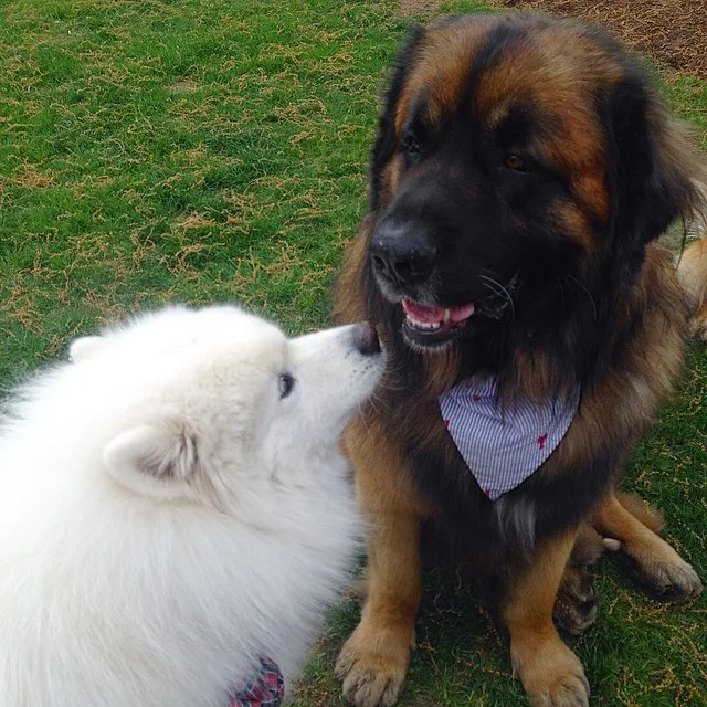 Party anticipation🎈