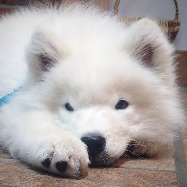 ANNOUNCEMENT: Party postponed!βοΈ