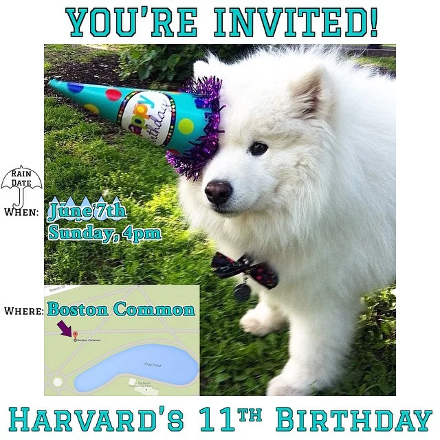 New Party Invitation🎈