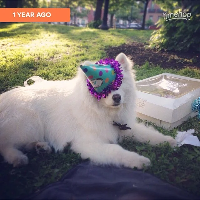 Timehop to my 10th birthday party!๐๐๐พ๐ถ