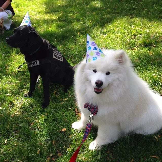 Friends in high places