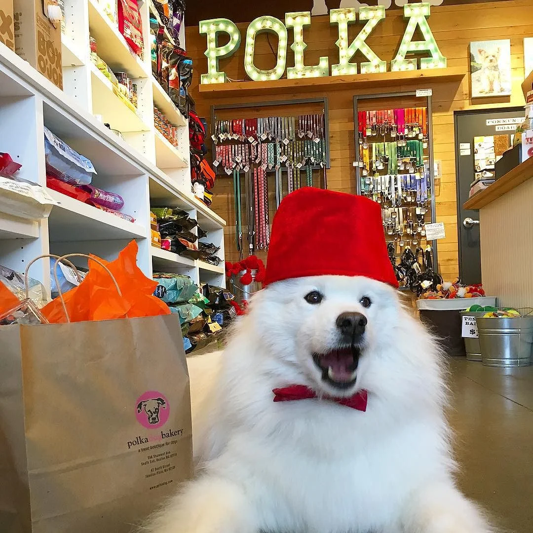 Small Business Saturday!