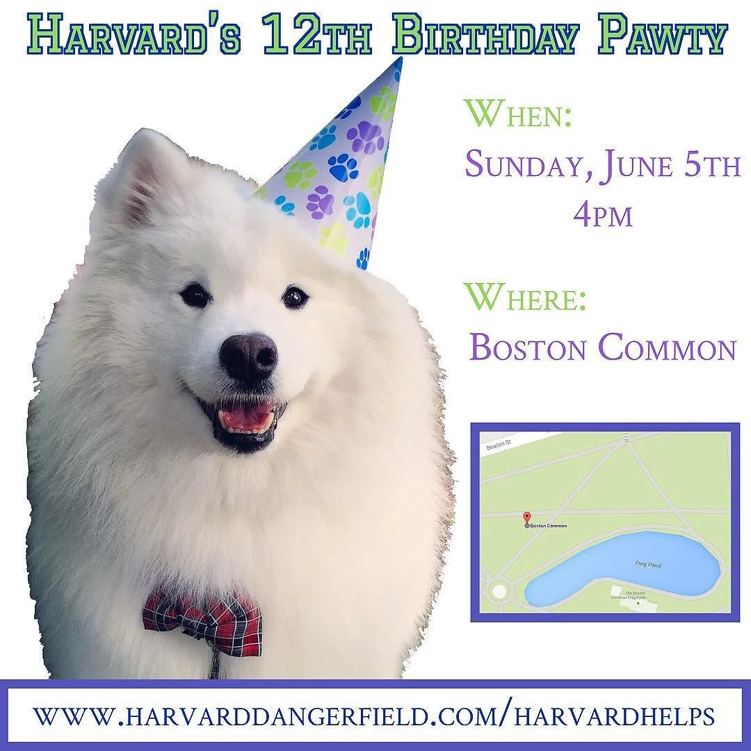 You're invited!!🎉 🎈