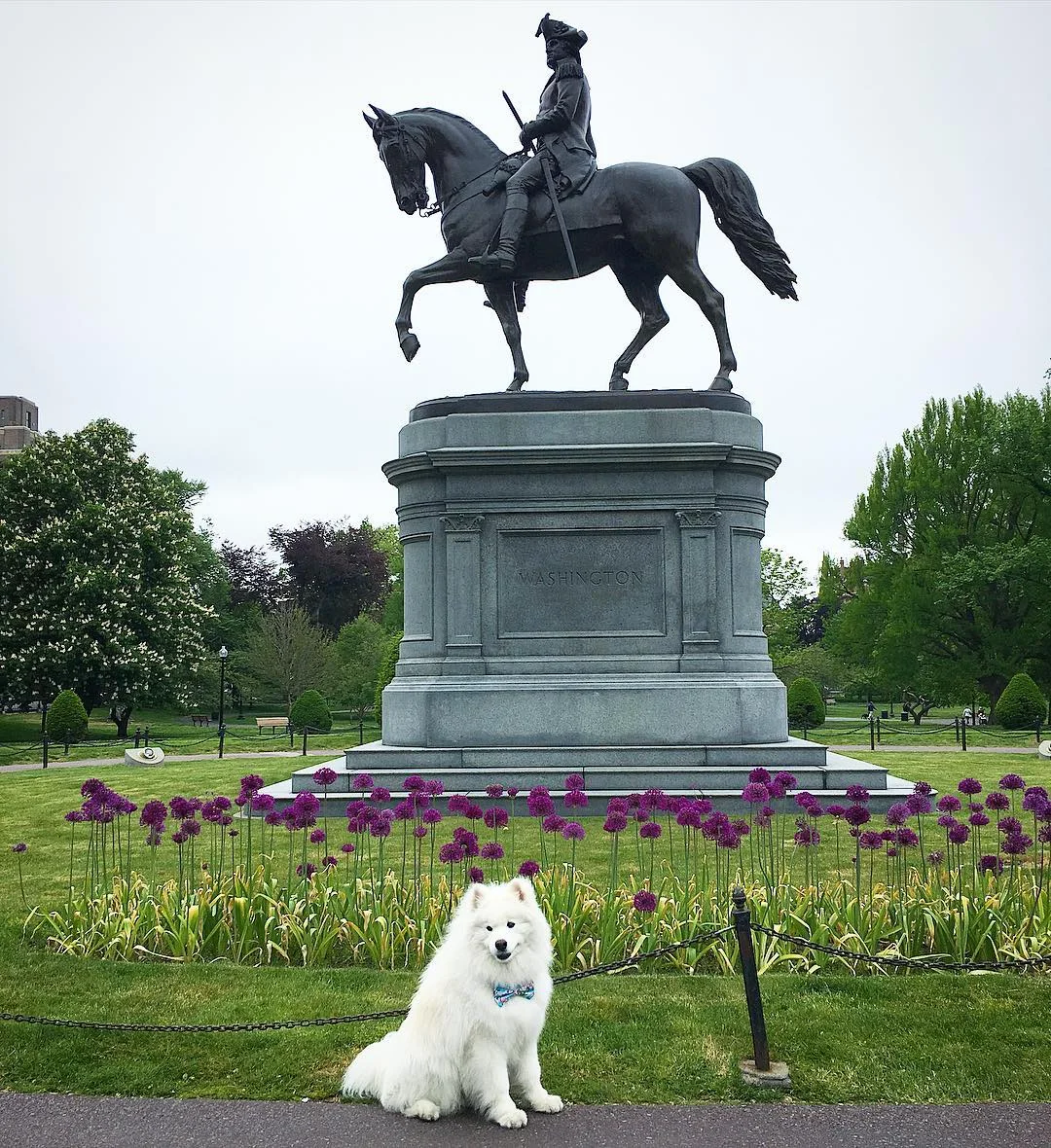 Chillin with my buddy George! 🐻🌸🐎