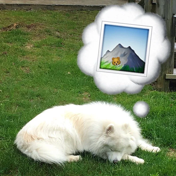 Quick nap between adventures!