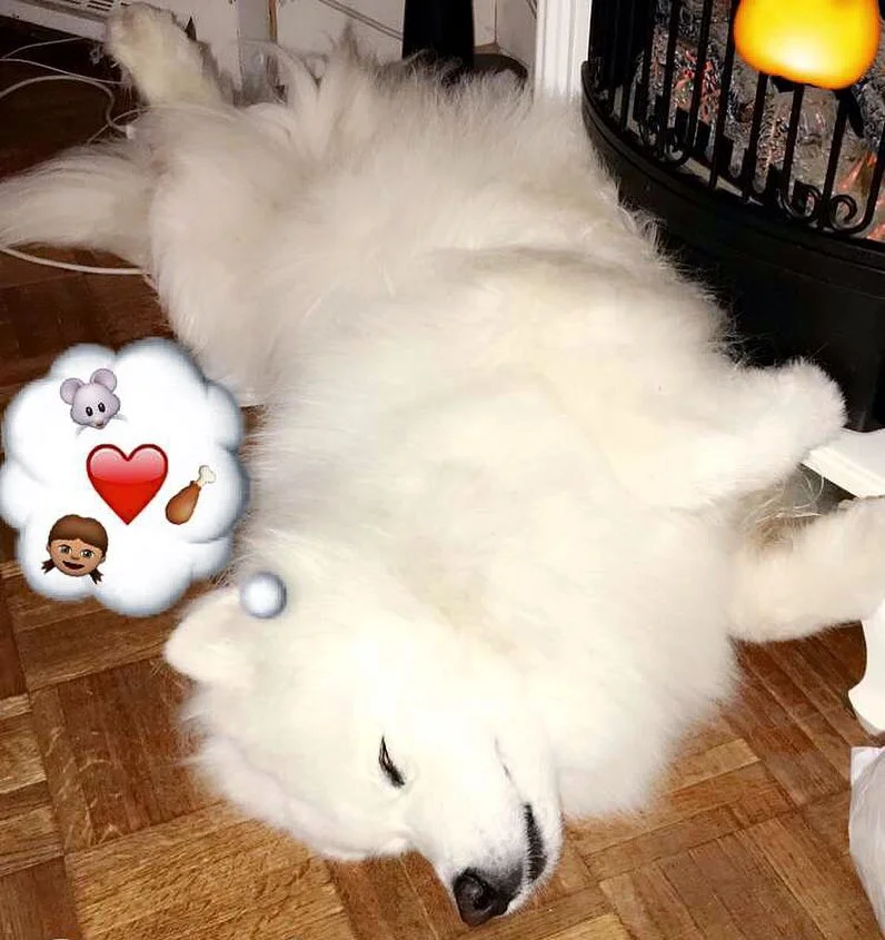 Sometimes I snuggle with the fireplace...