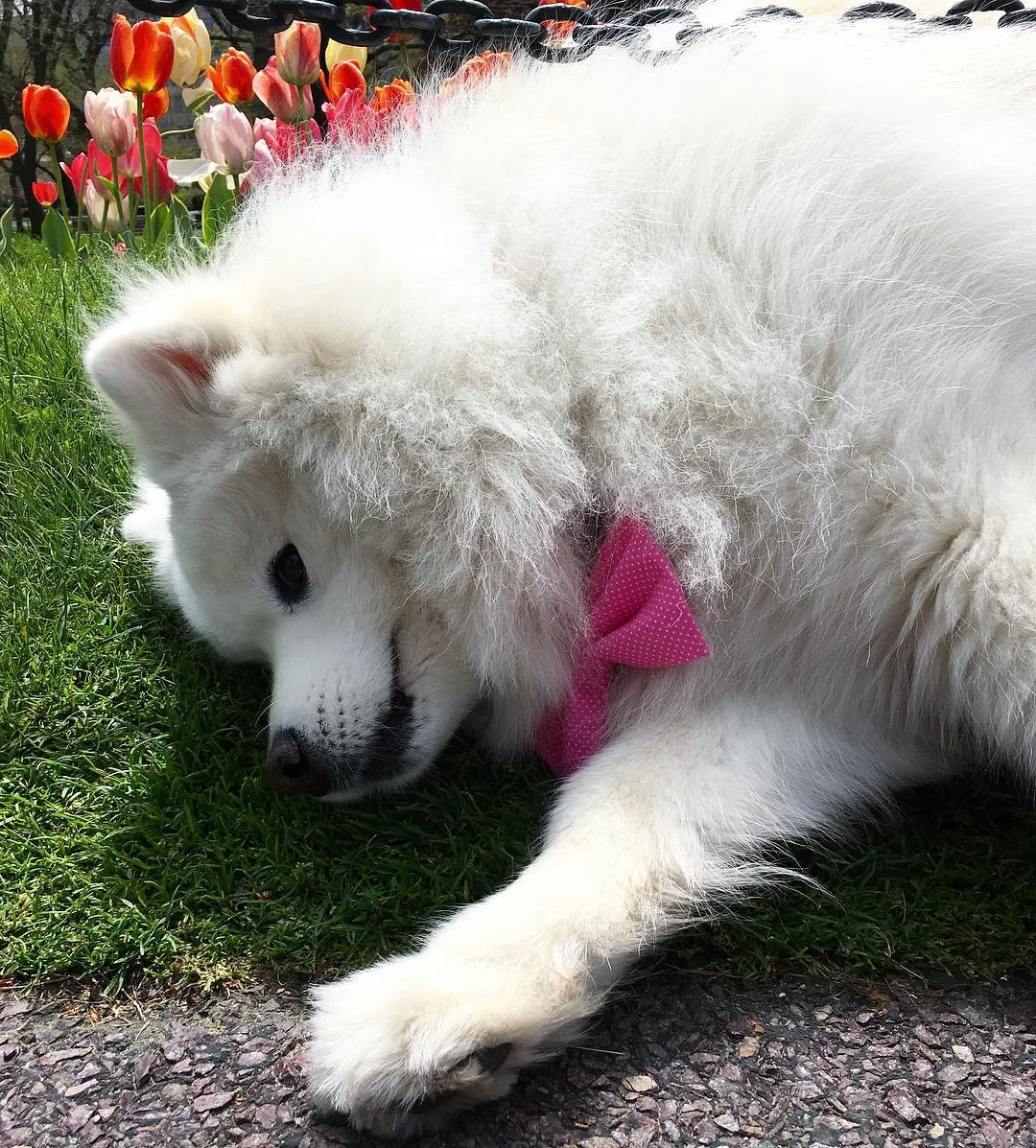 Sometimes I just want to snuggle... 