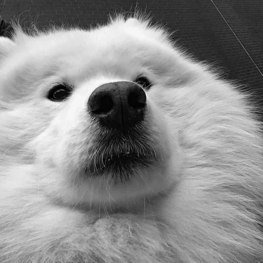 Practicing my selfie skillz 🐻📷😘