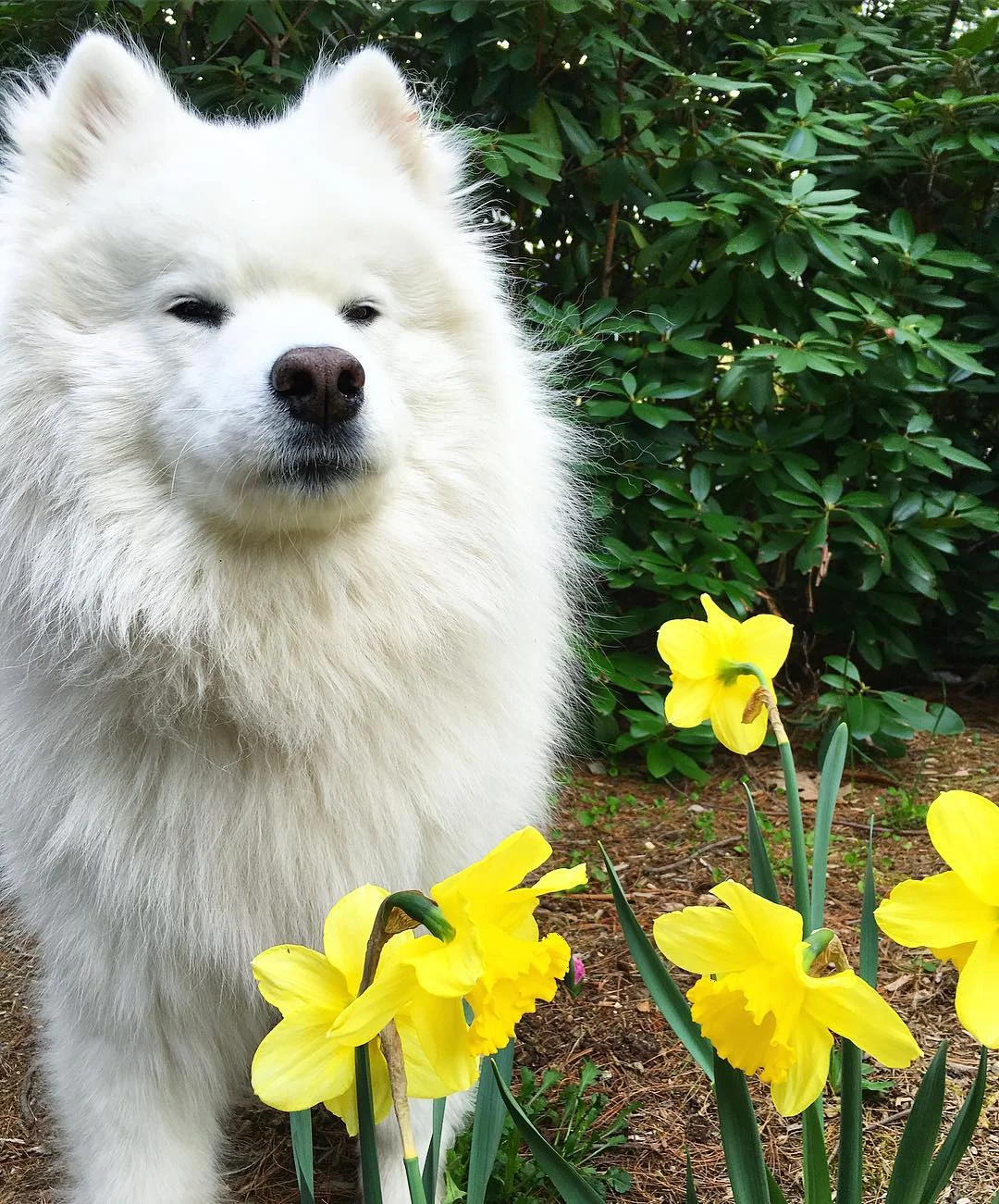 Spring. 🌼