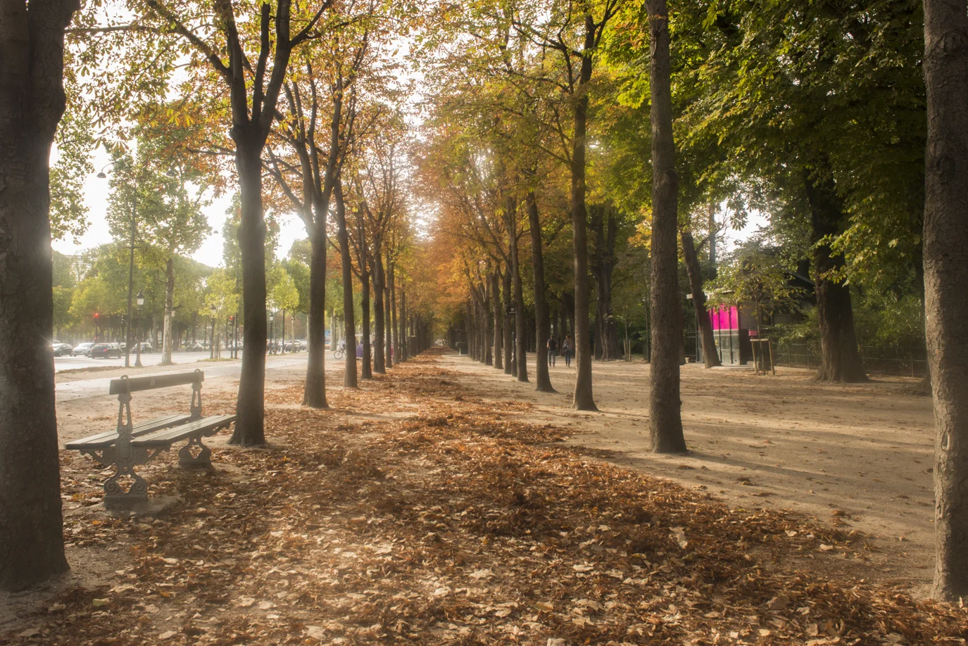 In August along the Champs-Elysées
